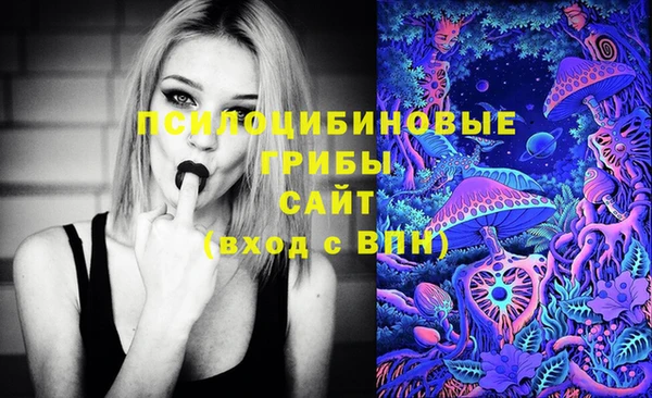 кокс Алексин