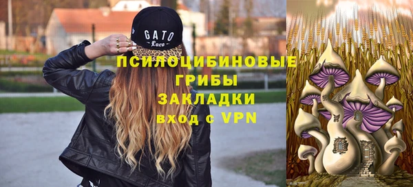 кокс Абаза