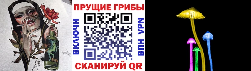 Псилоцибиновые грибы ЛСД Полевской