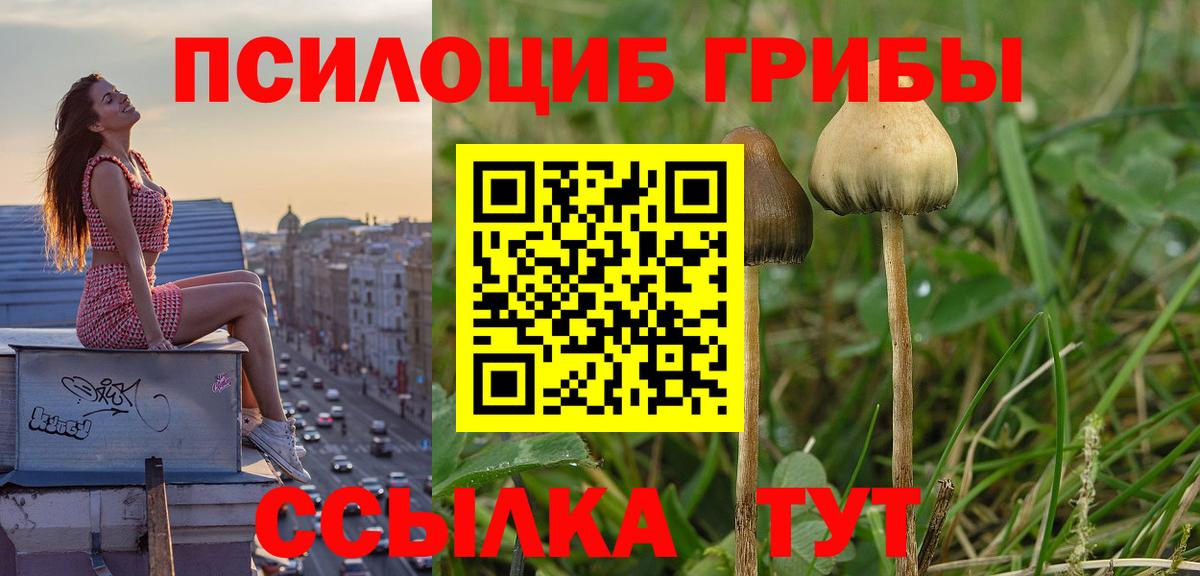 Галлюциногенные грибы Cubensis  Галлюциногенные грибы MAGIC MUSHROOMS  Вход с VPN  Полевской 